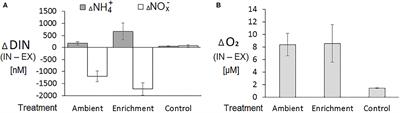 Nitrification Activity of the Sponge Chondrosia reniformis Under Elevated Concentrations of Ammonium